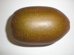 KIVI GOLD 1